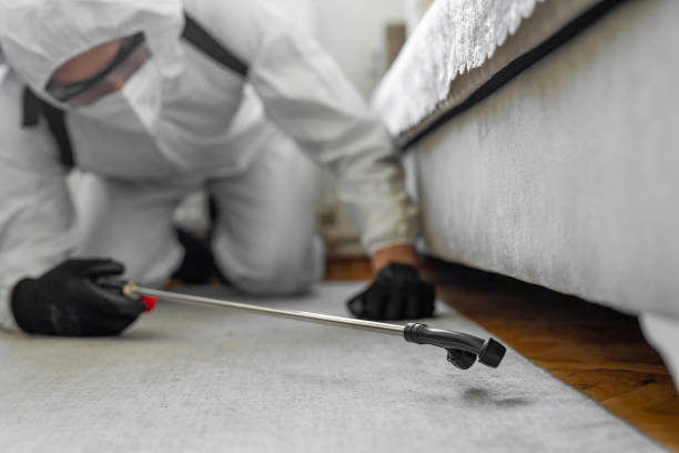 Professional Bed Bug Control technician working in Marble Falls, TX