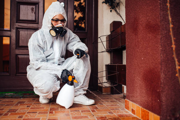 Reliable Bed Bug Control contractor in Marble Falls, TX by Nex Pest Control