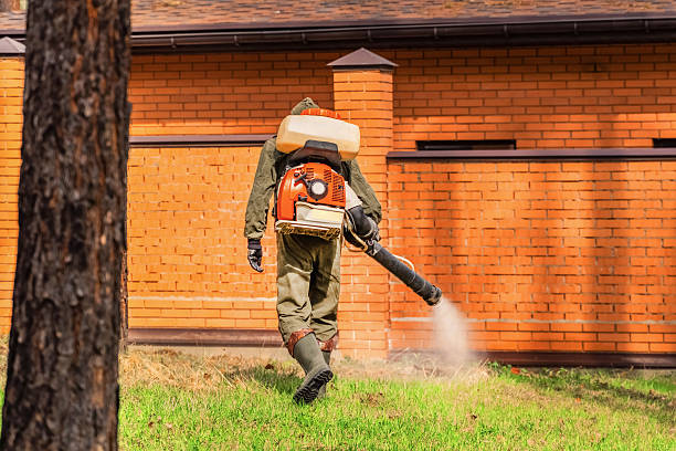 Trusted Ant Control service in Marble Falls, TX - Nex Pest Control